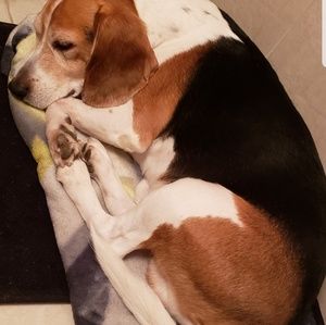 Meet your Posher, Deborah